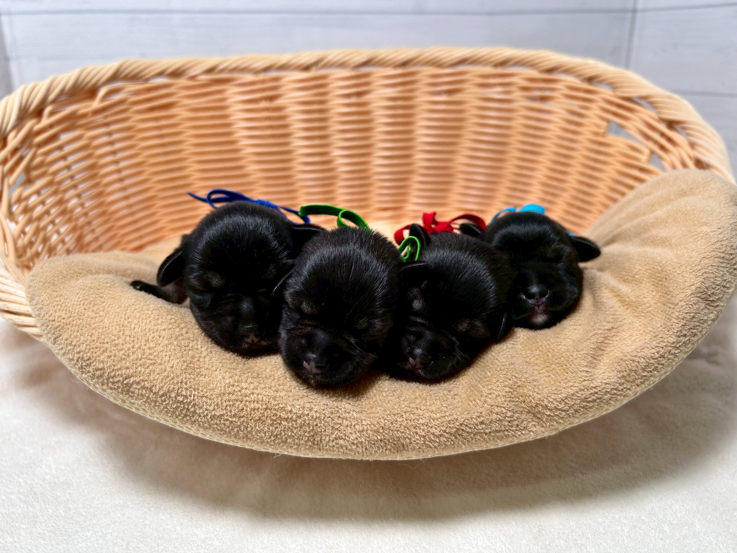 赤ちゃん写真1-3