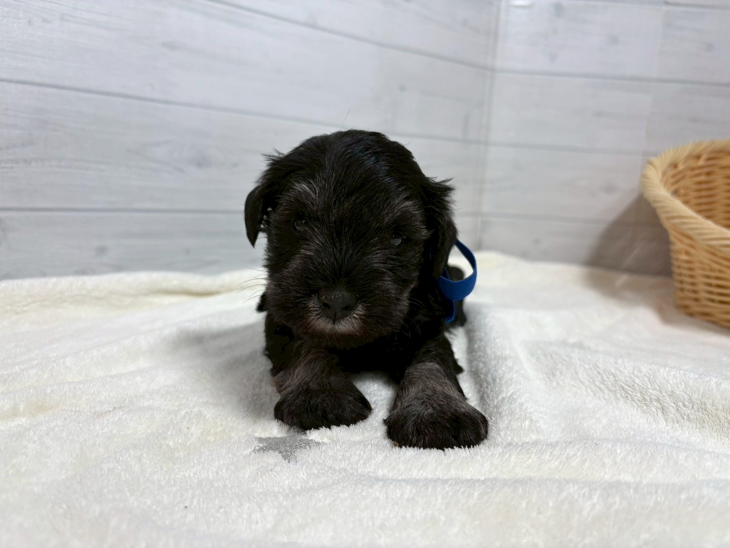 赤ちゃん写真2-1