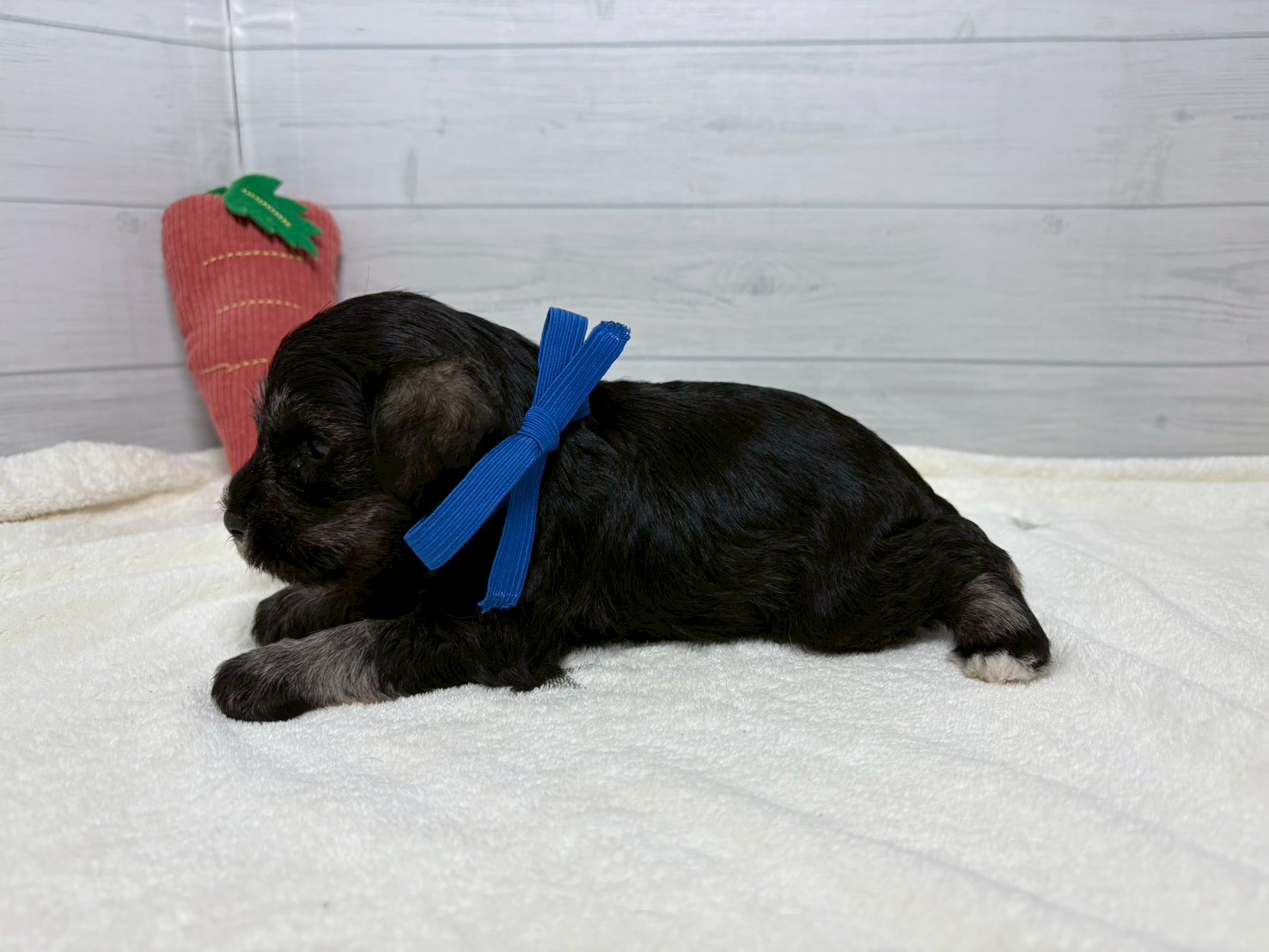 赤ちゃん写真2-2