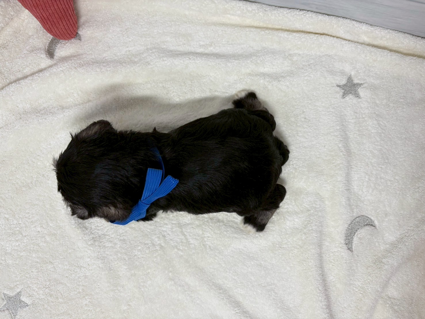 赤ちゃん写真2-3