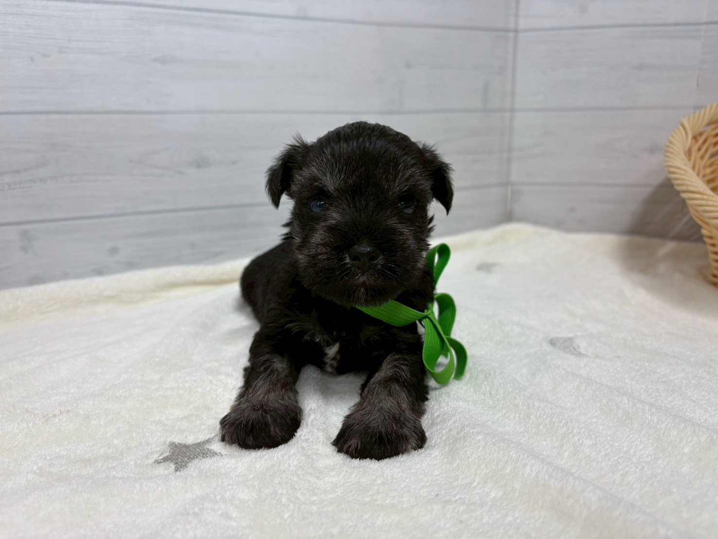 赤ちゃん写真2-1