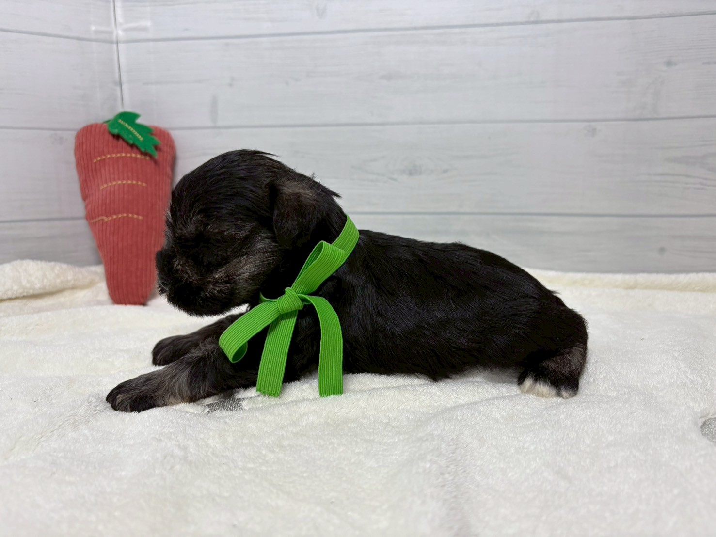 赤ちゃん写真2-2