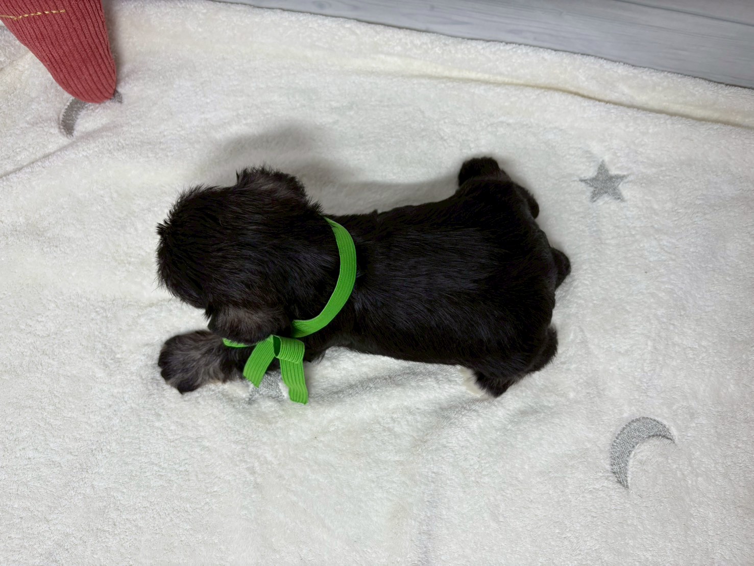 赤ちゃん写真2-3