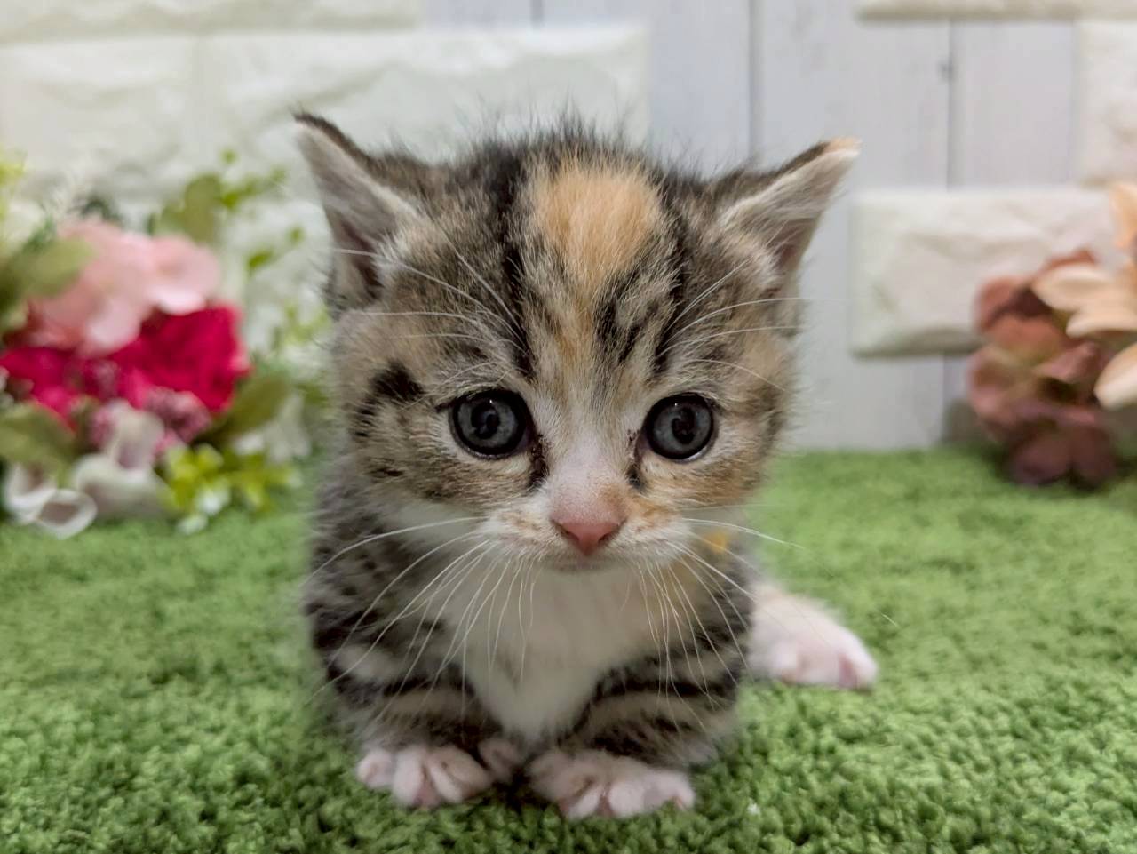 赤ちゃん写真2-1