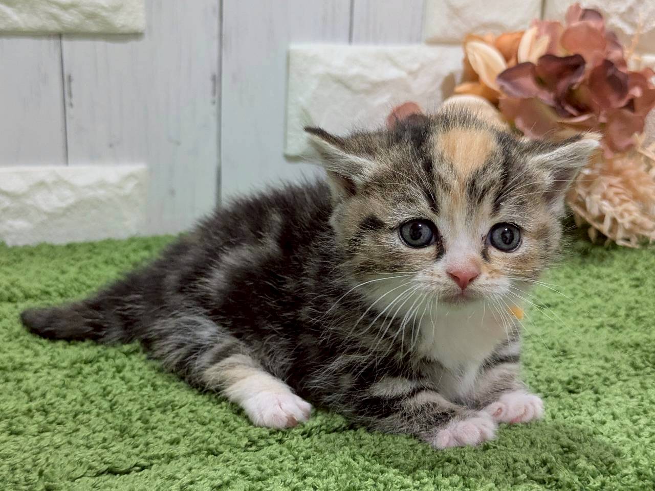 赤ちゃん写真2-2