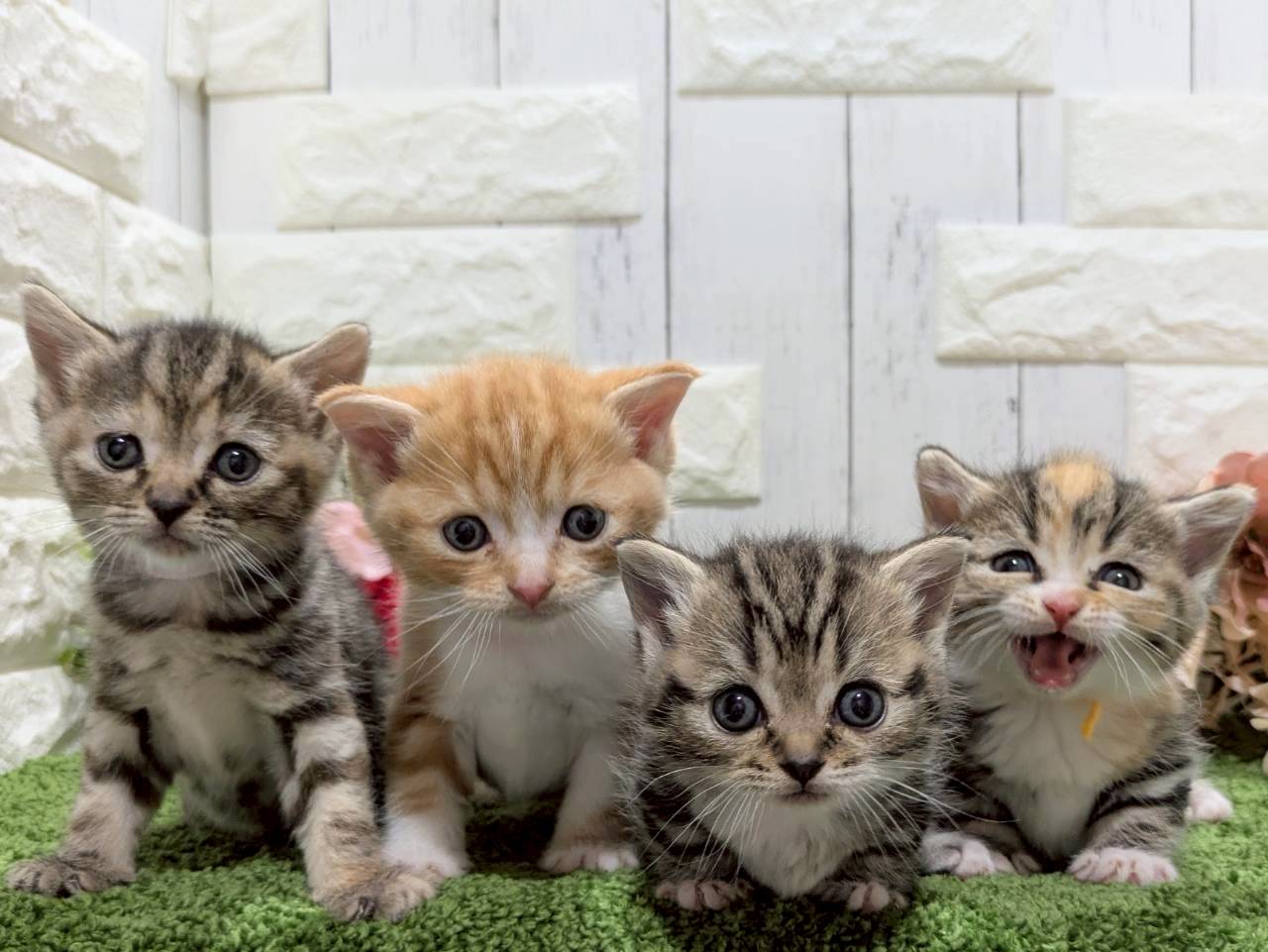 赤ちゃん写真2-3