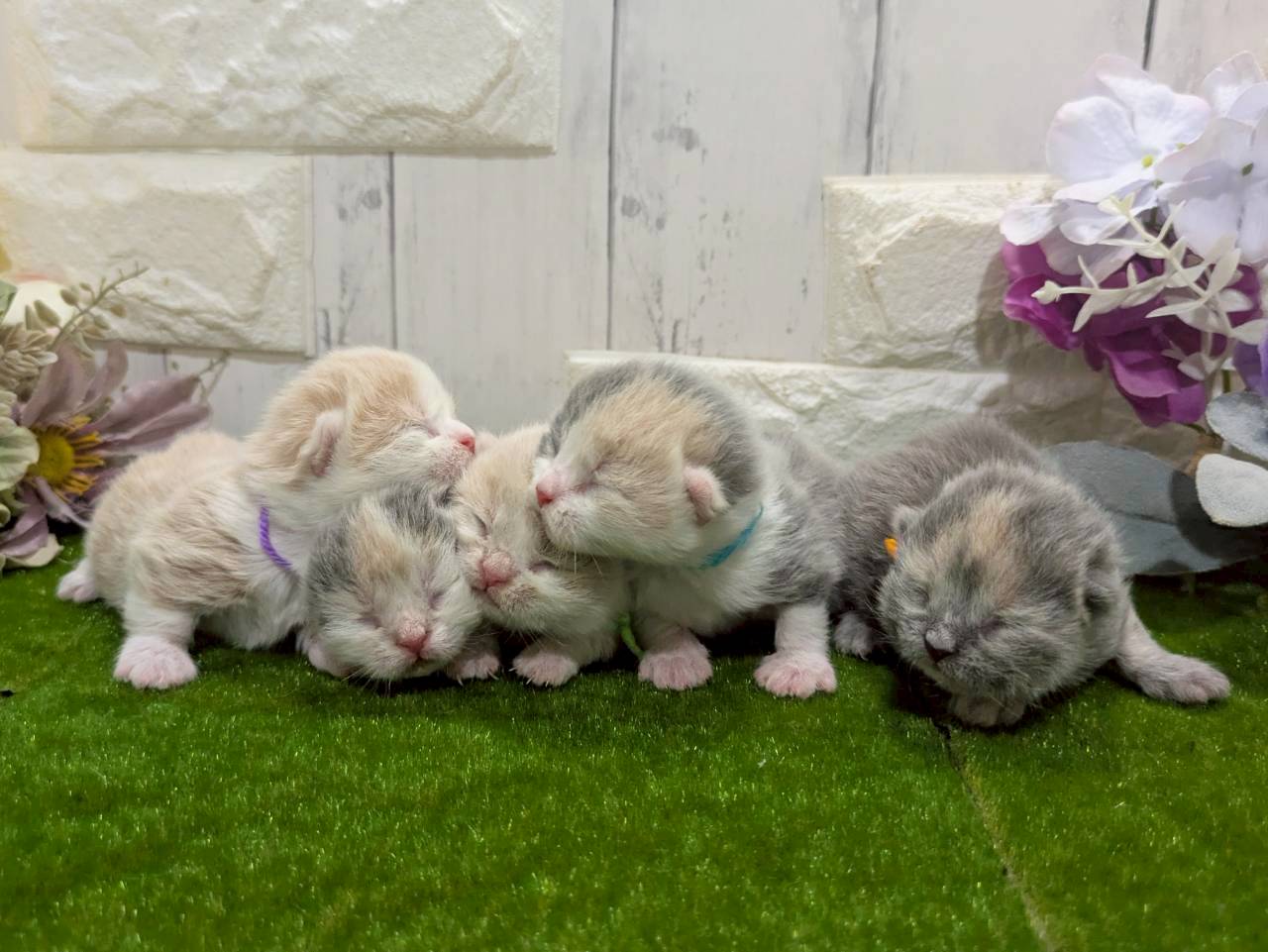 赤ちゃん写真1-3