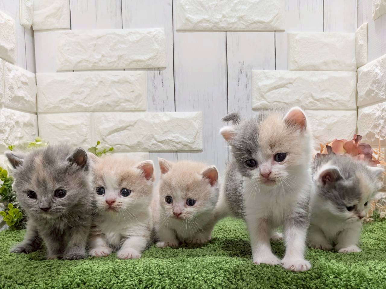 赤ちゃん写真2-3