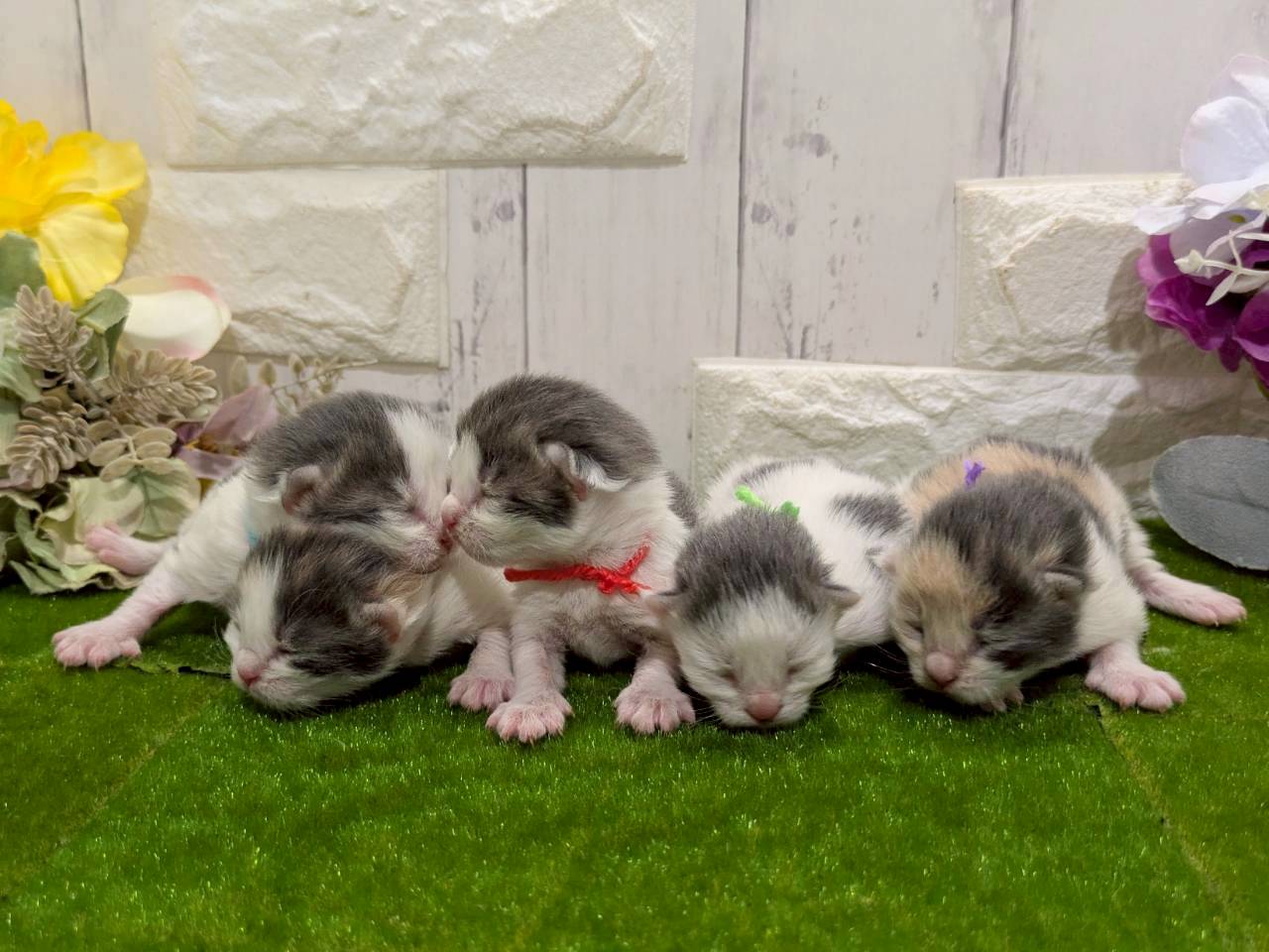 赤ちゃん写真1-3