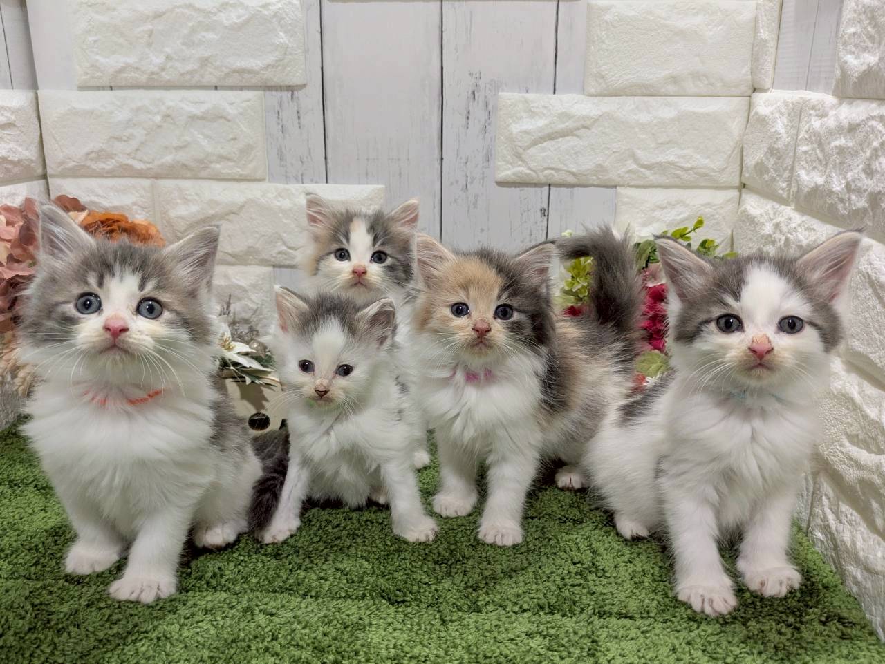赤ちゃん写真2-3