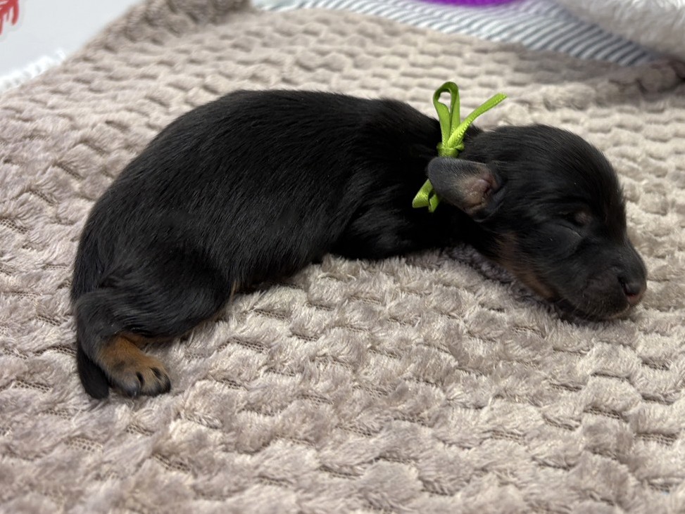 赤ちゃん写真1-2