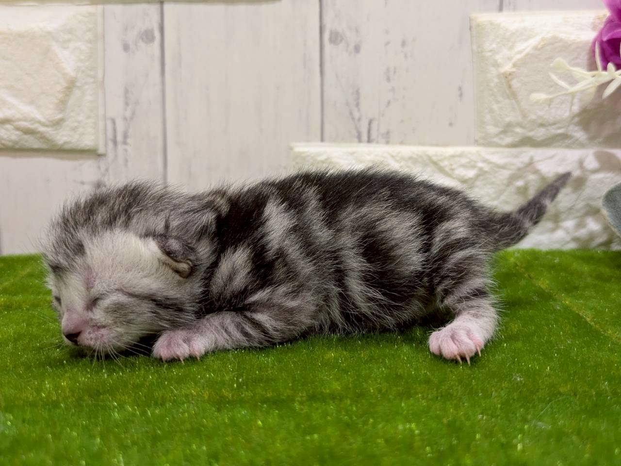 赤ちゃん写真1-2