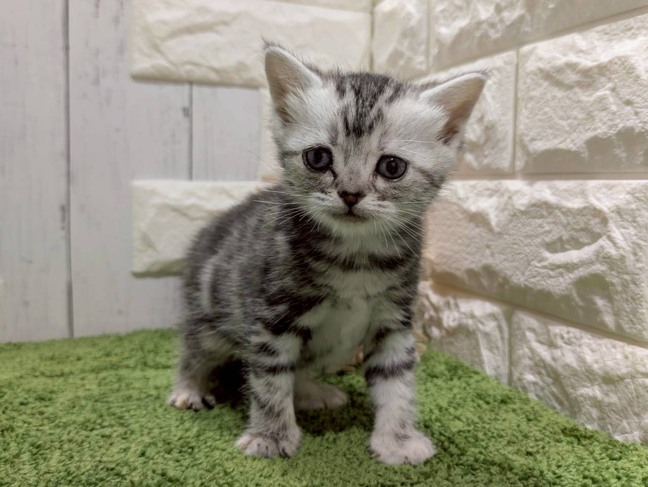 赤ちゃん写真2-1