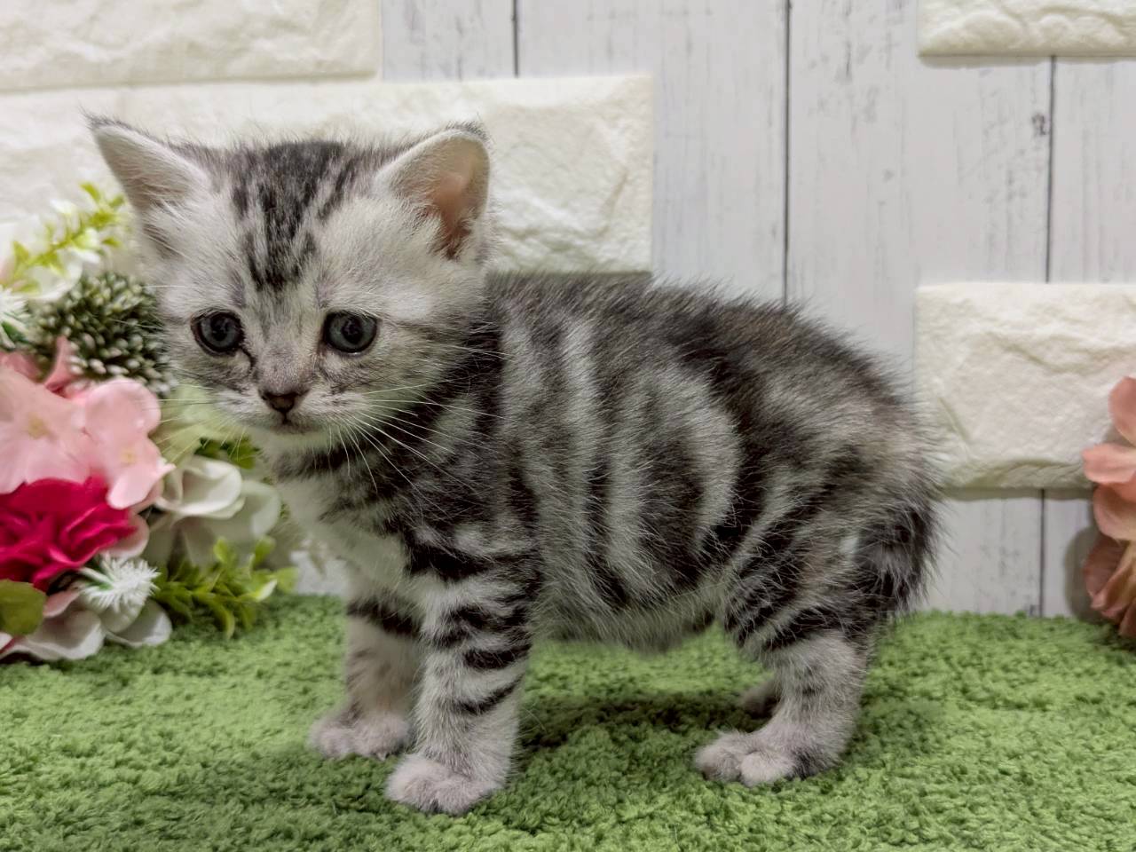 赤ちゃん写真2-2