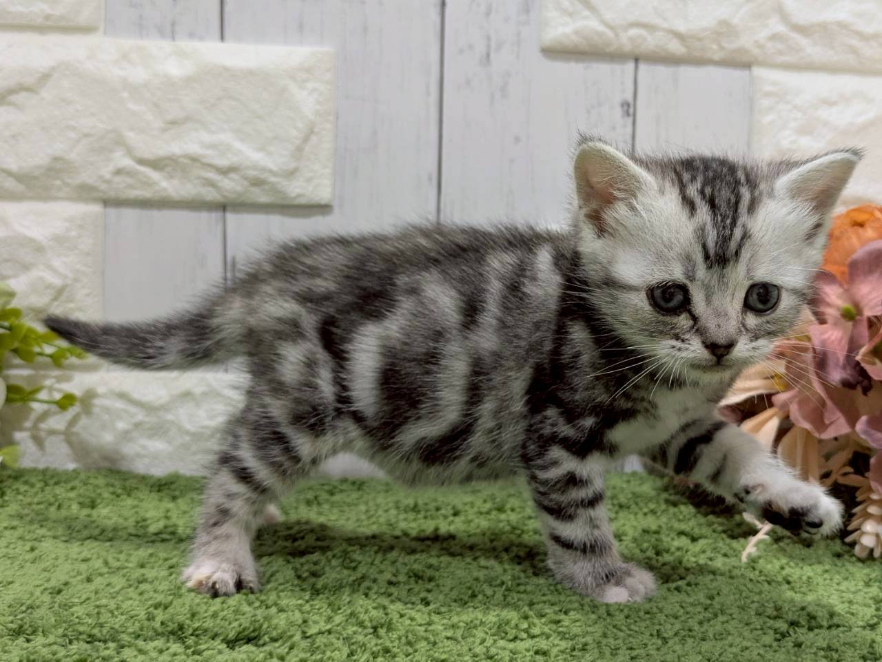 赤ちゃん写真2-3