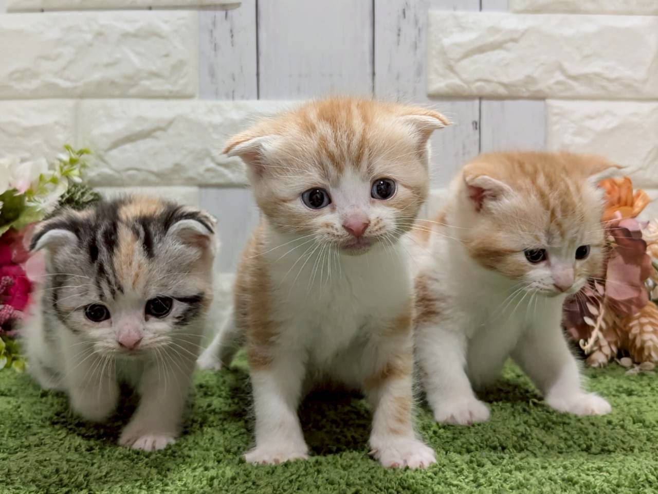 赤ちゃん写真2-3