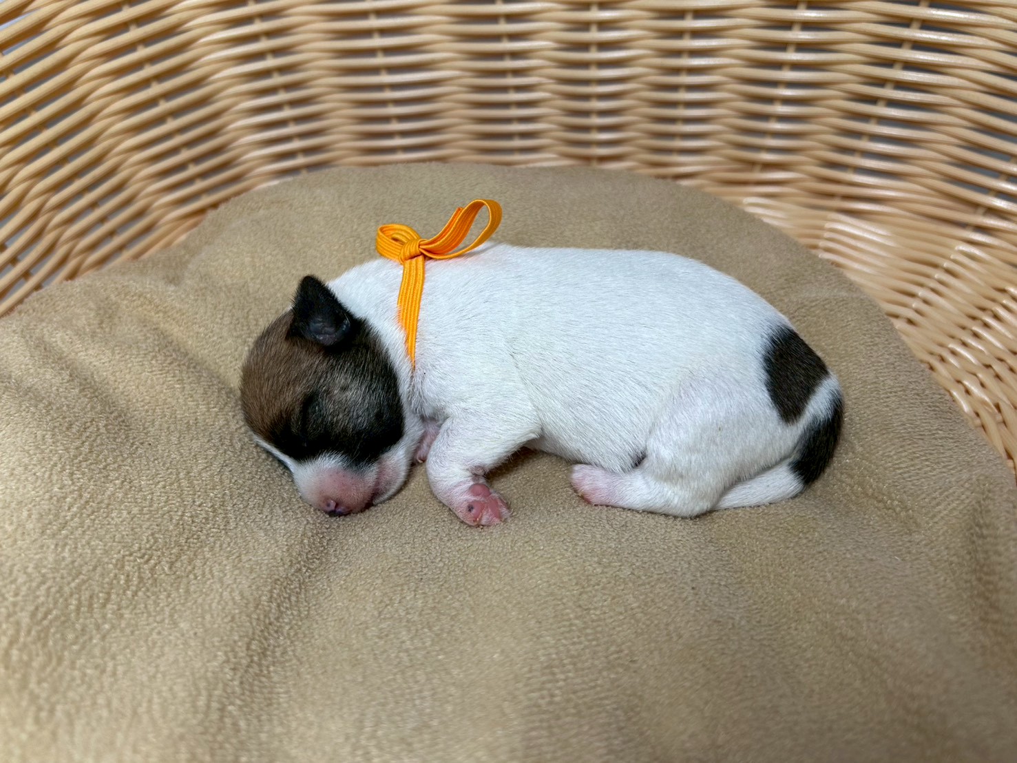 赤ちゃん写真1-2