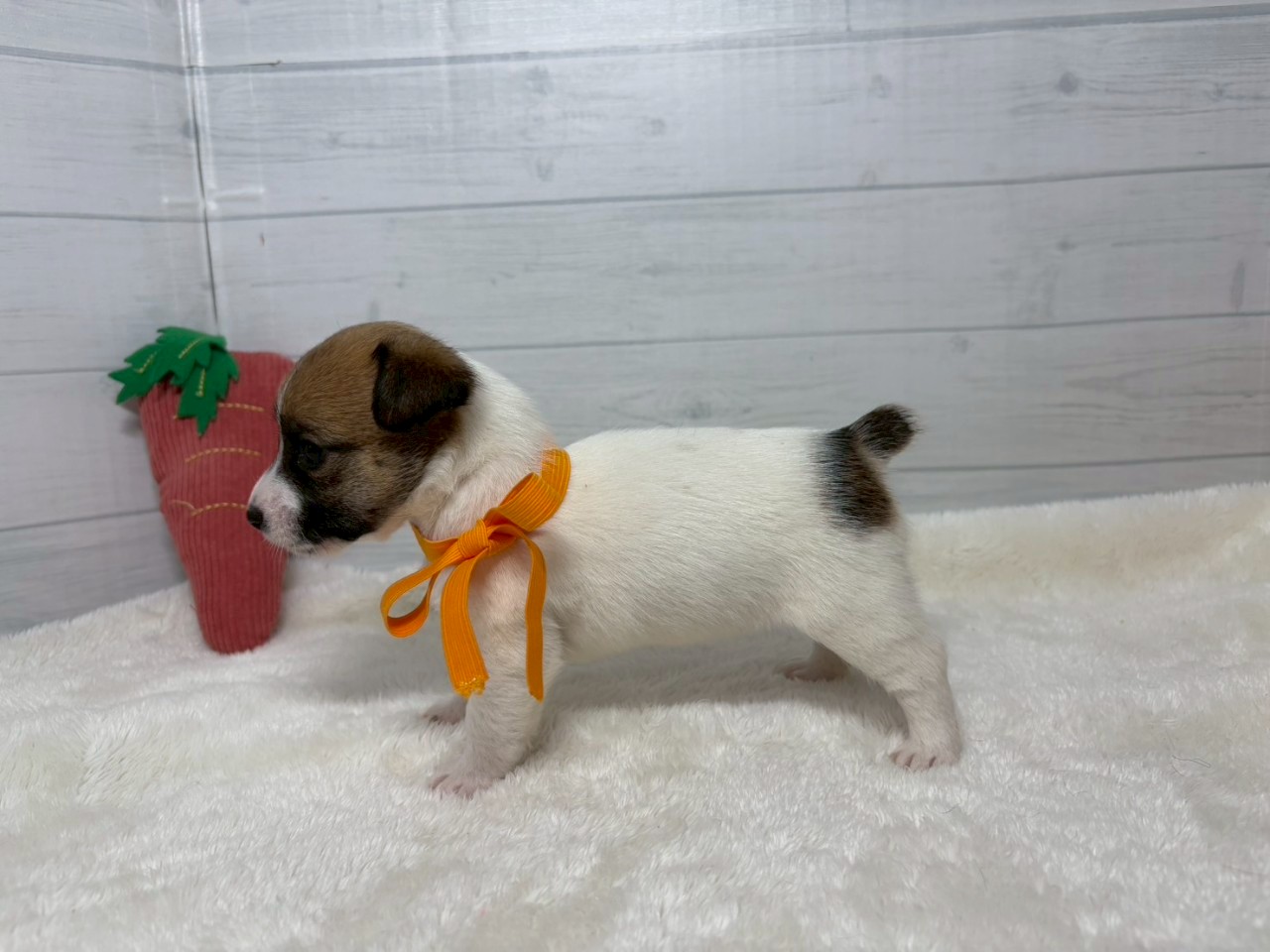 赤ちゃん写真2-2