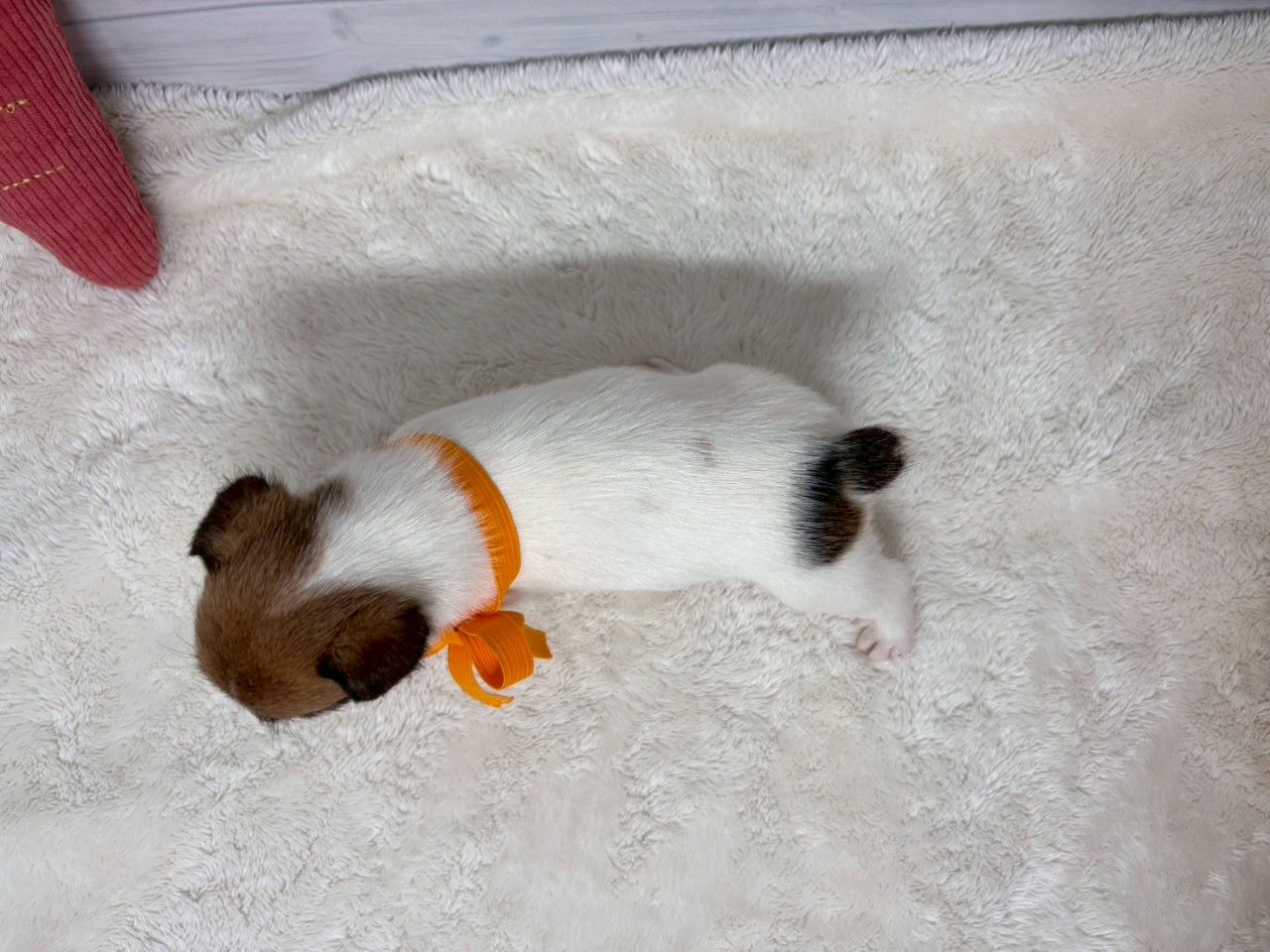 赤ちゃん写真2-3