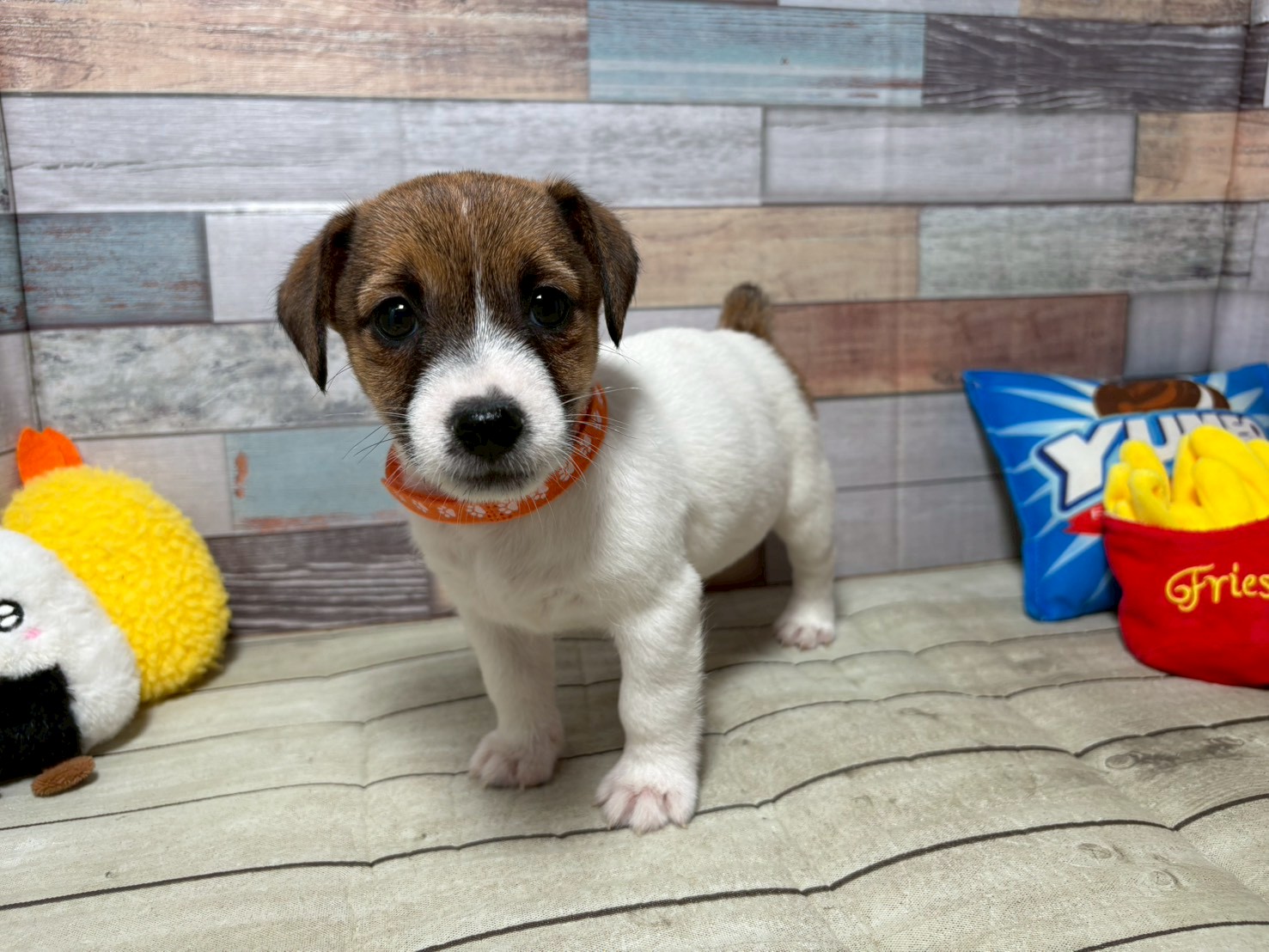 赤ちゃん写真3-1