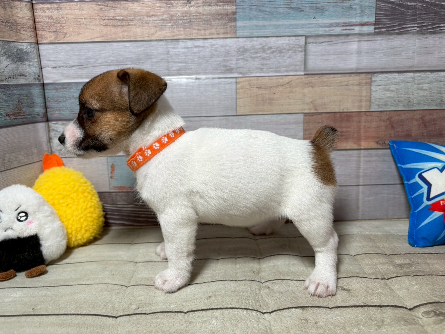 赤ちゃん写真3-2