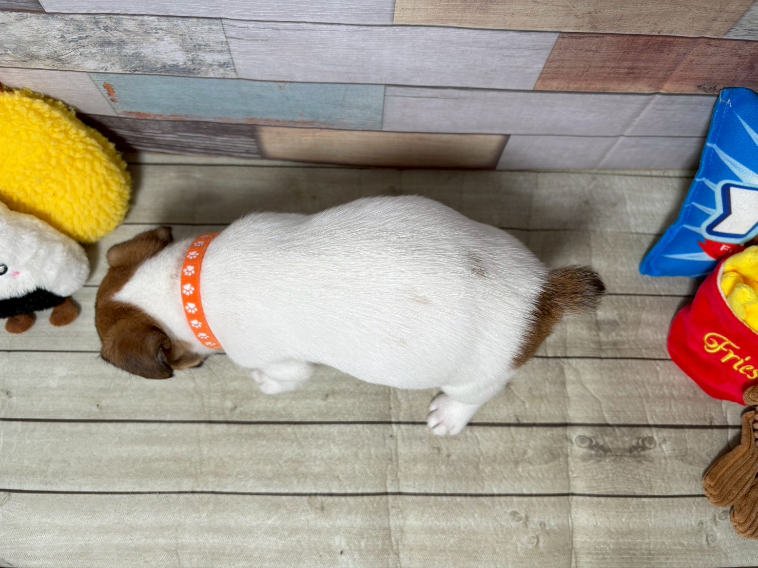 赤ちゃん写真3-3