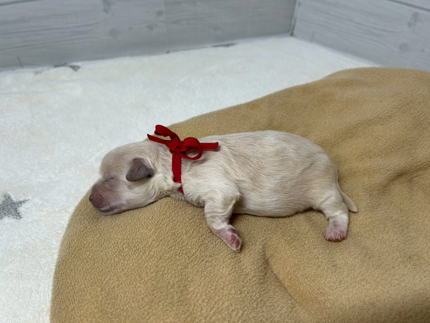 赤ちゃん写真1-2