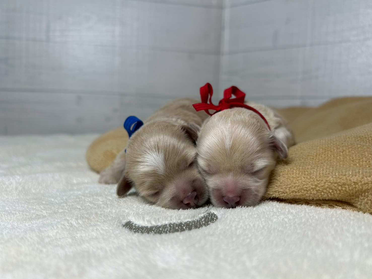 赤ちゃん写真1-3