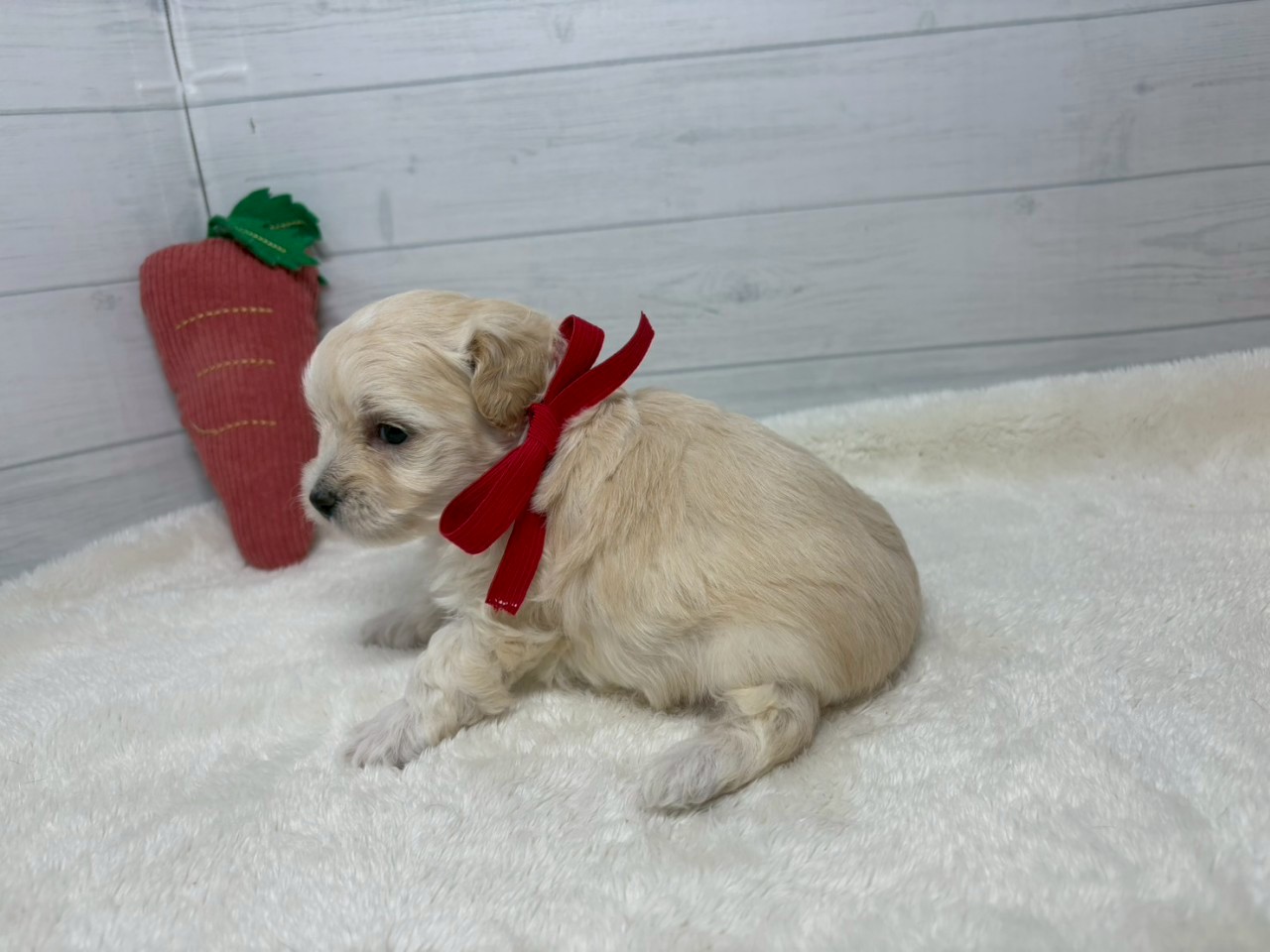 赤ちゃん写真2-2