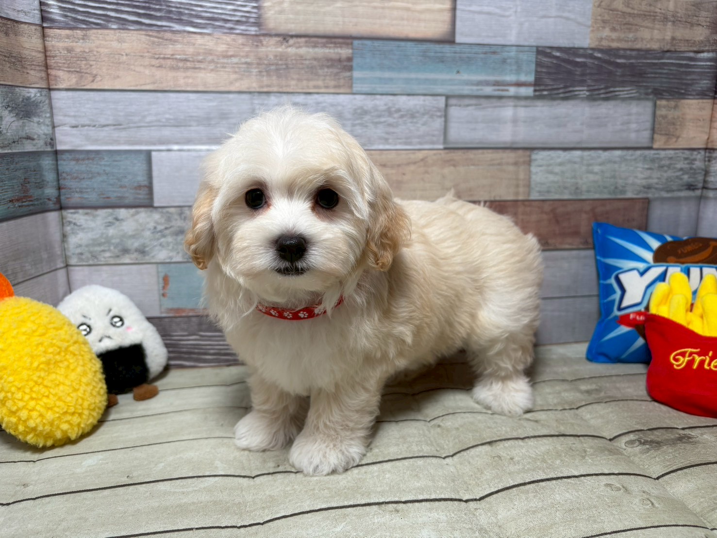 赤ちゃん写真3-1