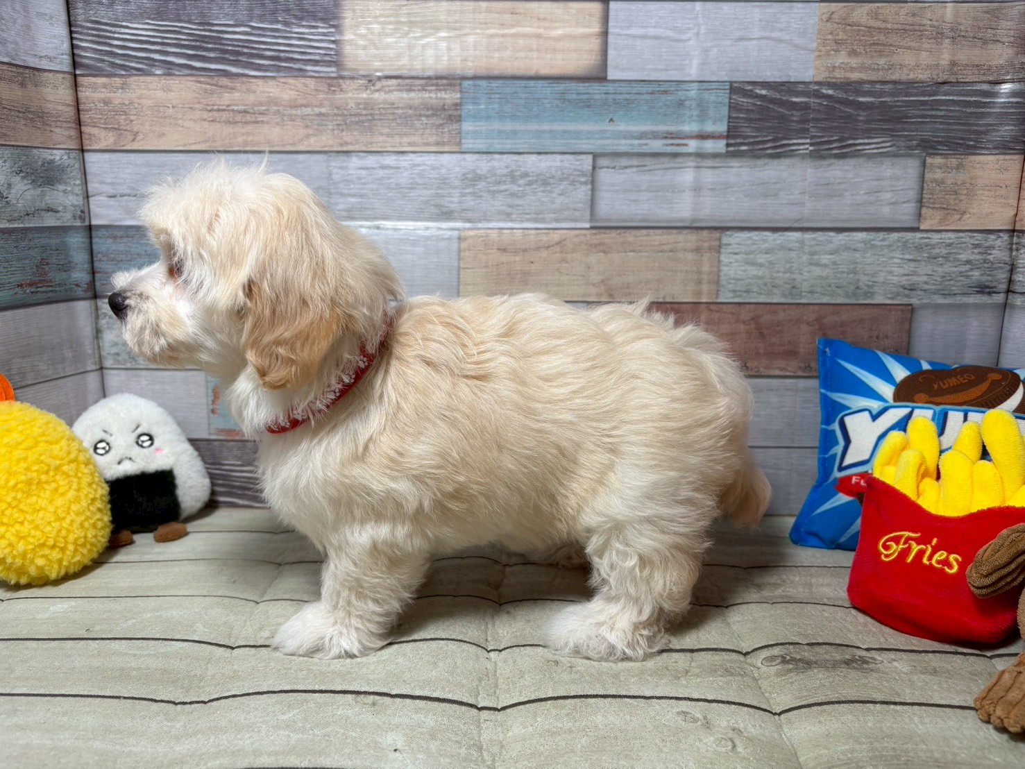 赤ちゃん写真3-2