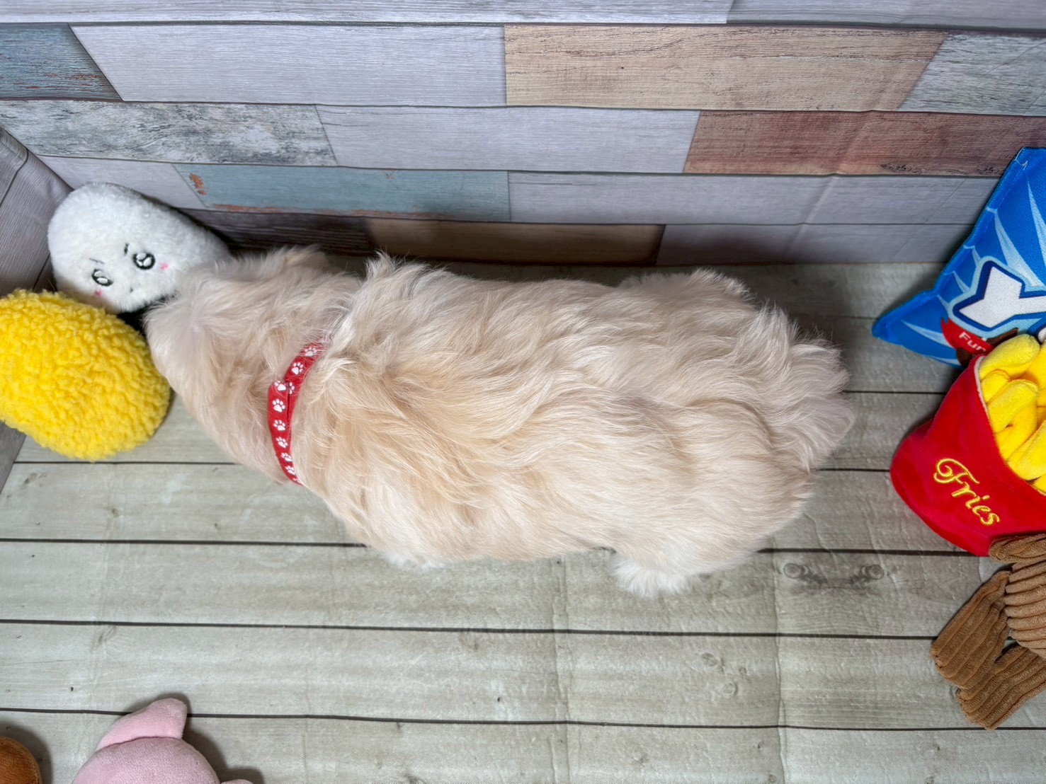 赤ちゃん写真3-3