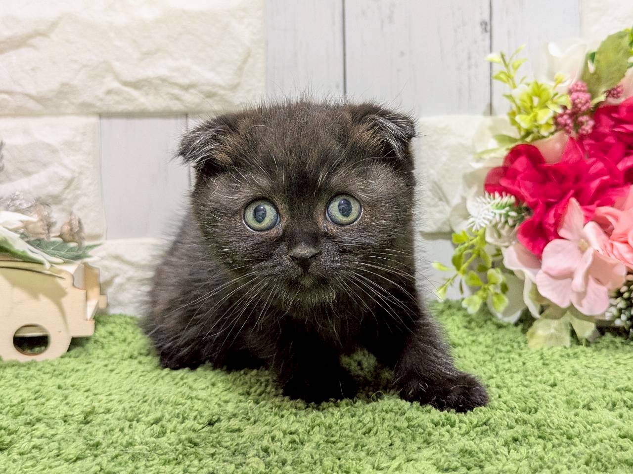 赤ちゃん写真2-1