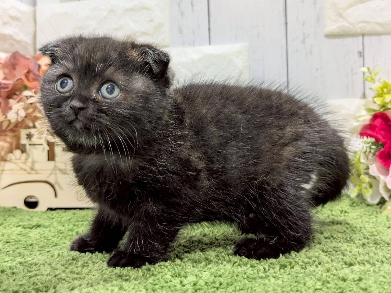 赤ちゃん写真2-2