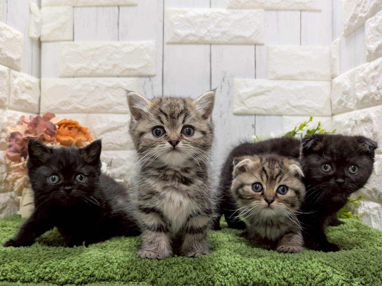 赤ちゃん写真2-3