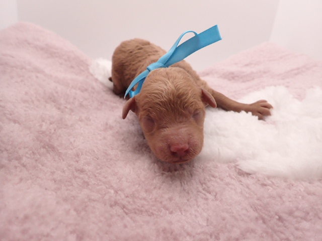 赤ちゃん写真1-1