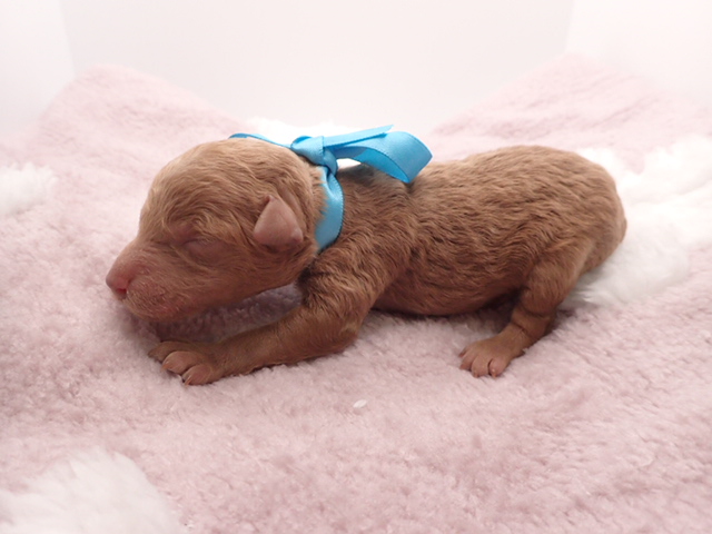 赤ちゃん写真1-2