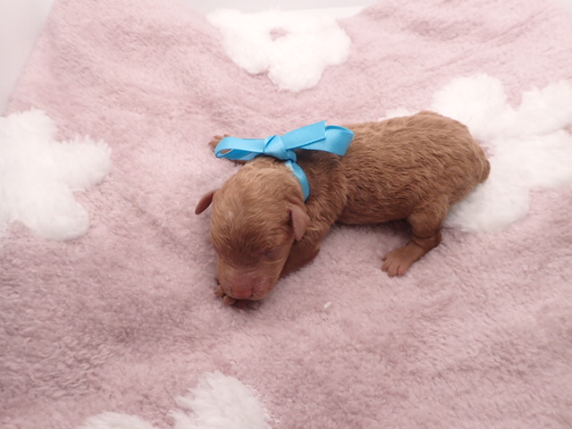 赤ちゃん写真1-3