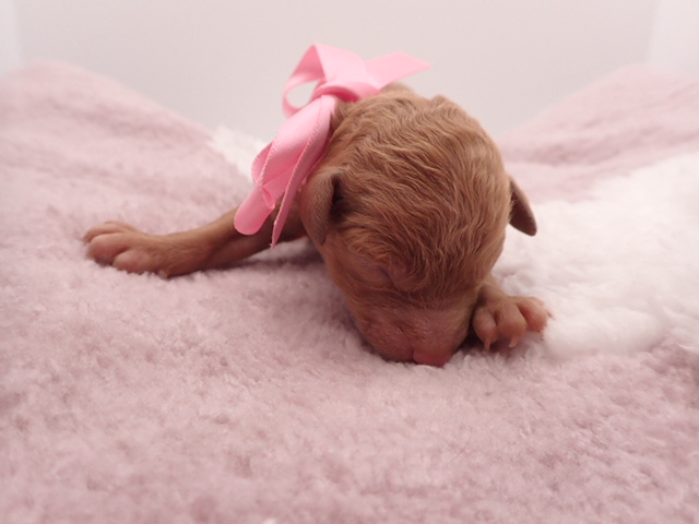 赤ちゃん写真1-1