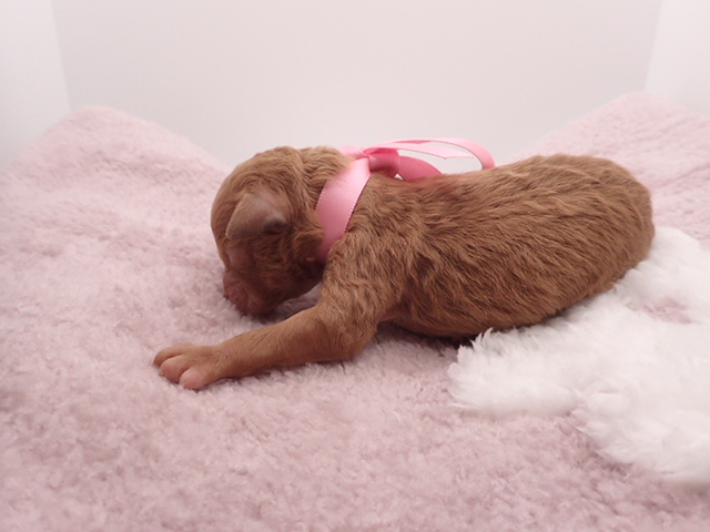 赤ちゃん写真1-2