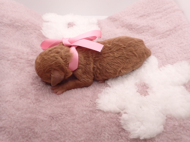 赤ちゃん写真1-3