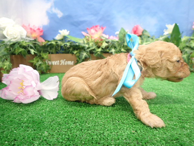 赤ちゃん写真2-2