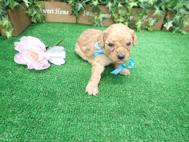 赤ちゃん写真2-3