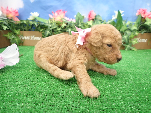 赤ちゃん写真2-2