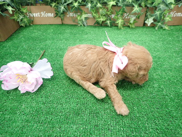 赤ちゃん写真2-3