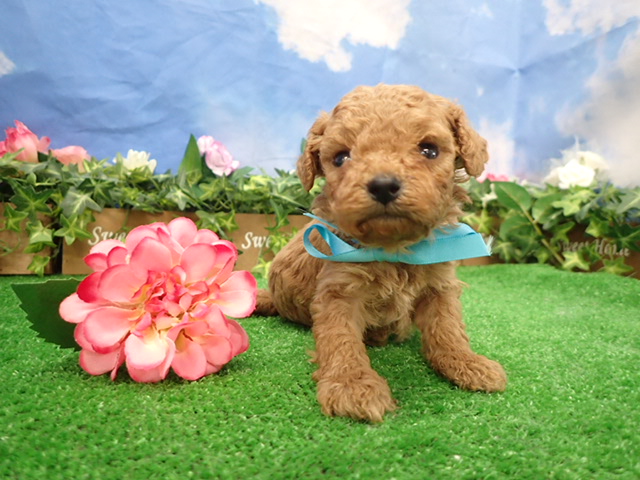 赤ちゃん写真3-1