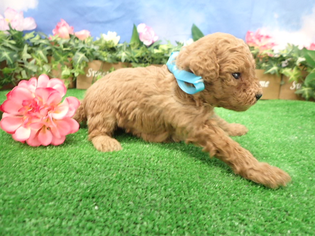 赤ちゃん写真3-2