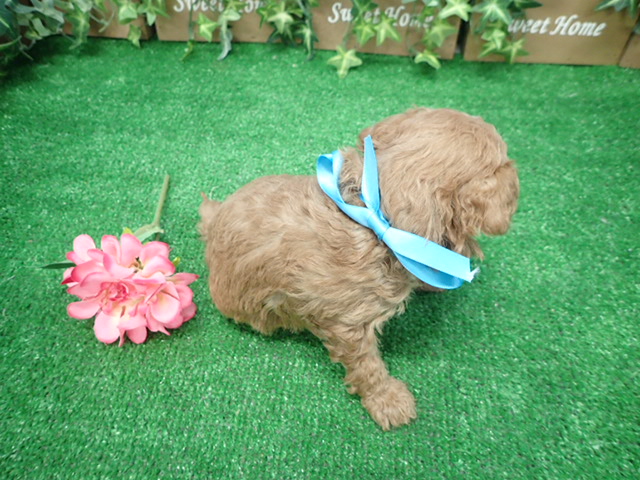 赤ちゃん写真3-3