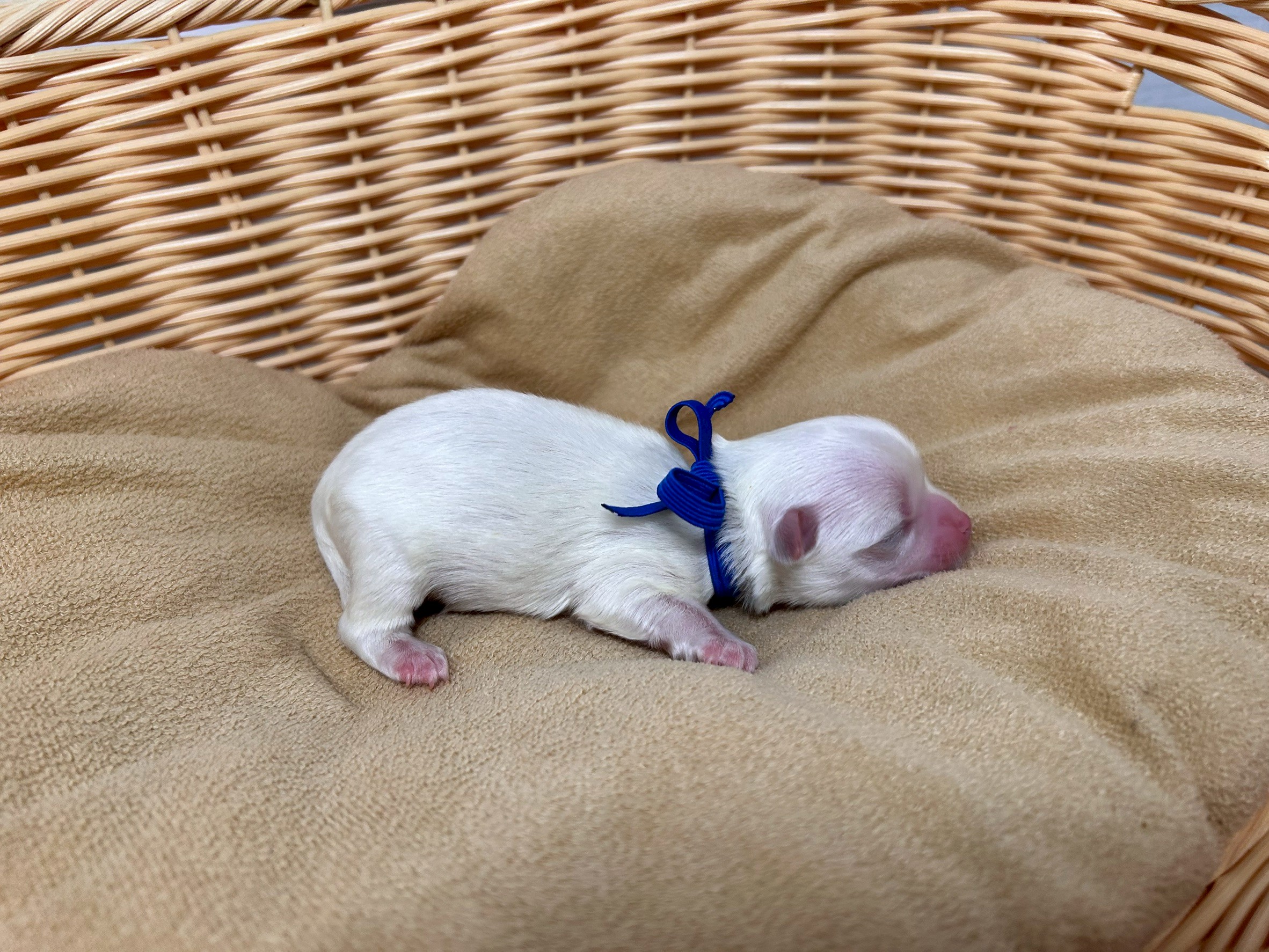 赤ちゃん写真1-2