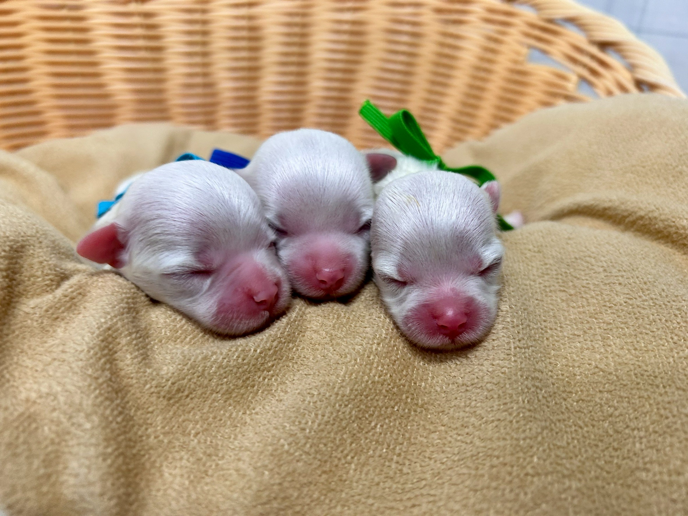 赤ちゃん写真1-3